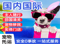 奇台江布拉克航空物流国际宠物托运 【国